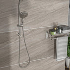 Dual Shower Head Wall Mounted Faucet