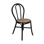 Set of 2 Decorative Accent Chairs