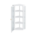 Glass Door Wall Mounted Corner Cabinet