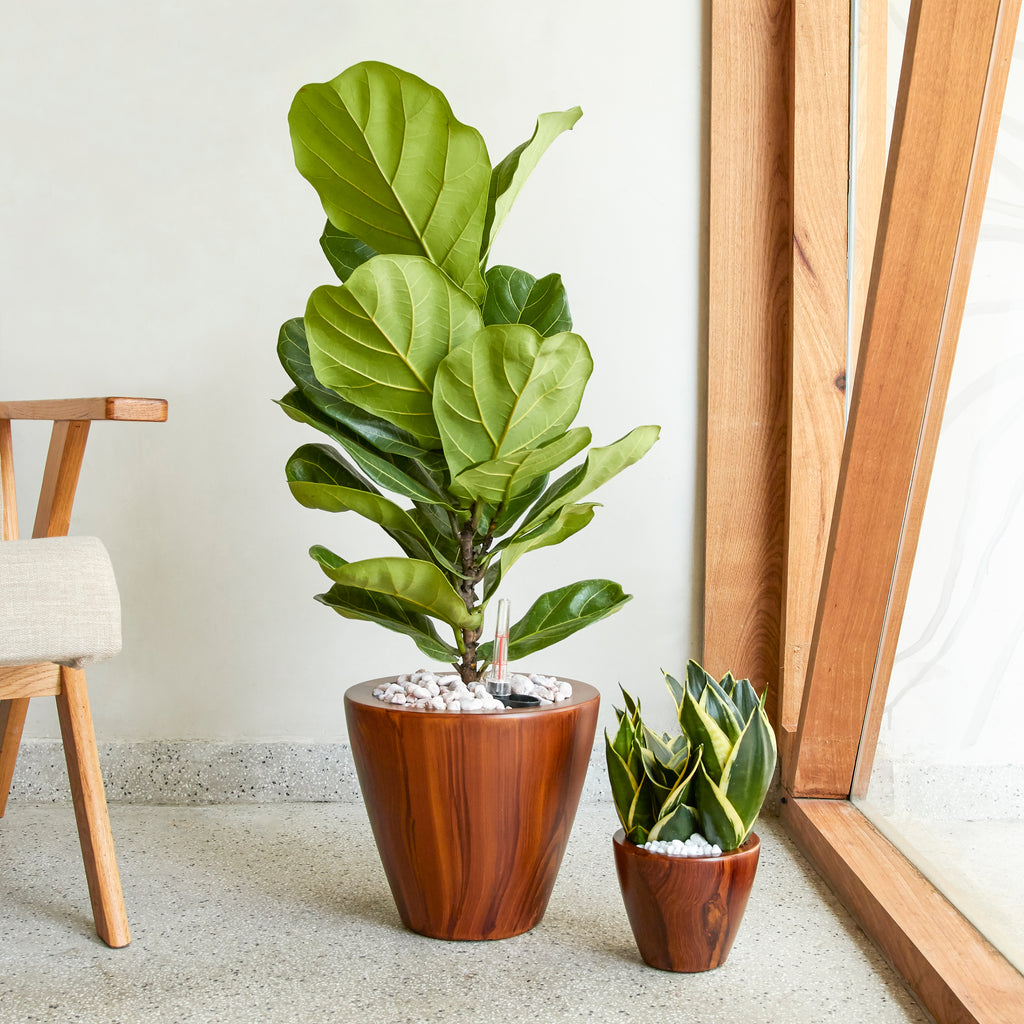 2-Pack 10 In. Dark Wood Plastic Self-Watering Planter Pot