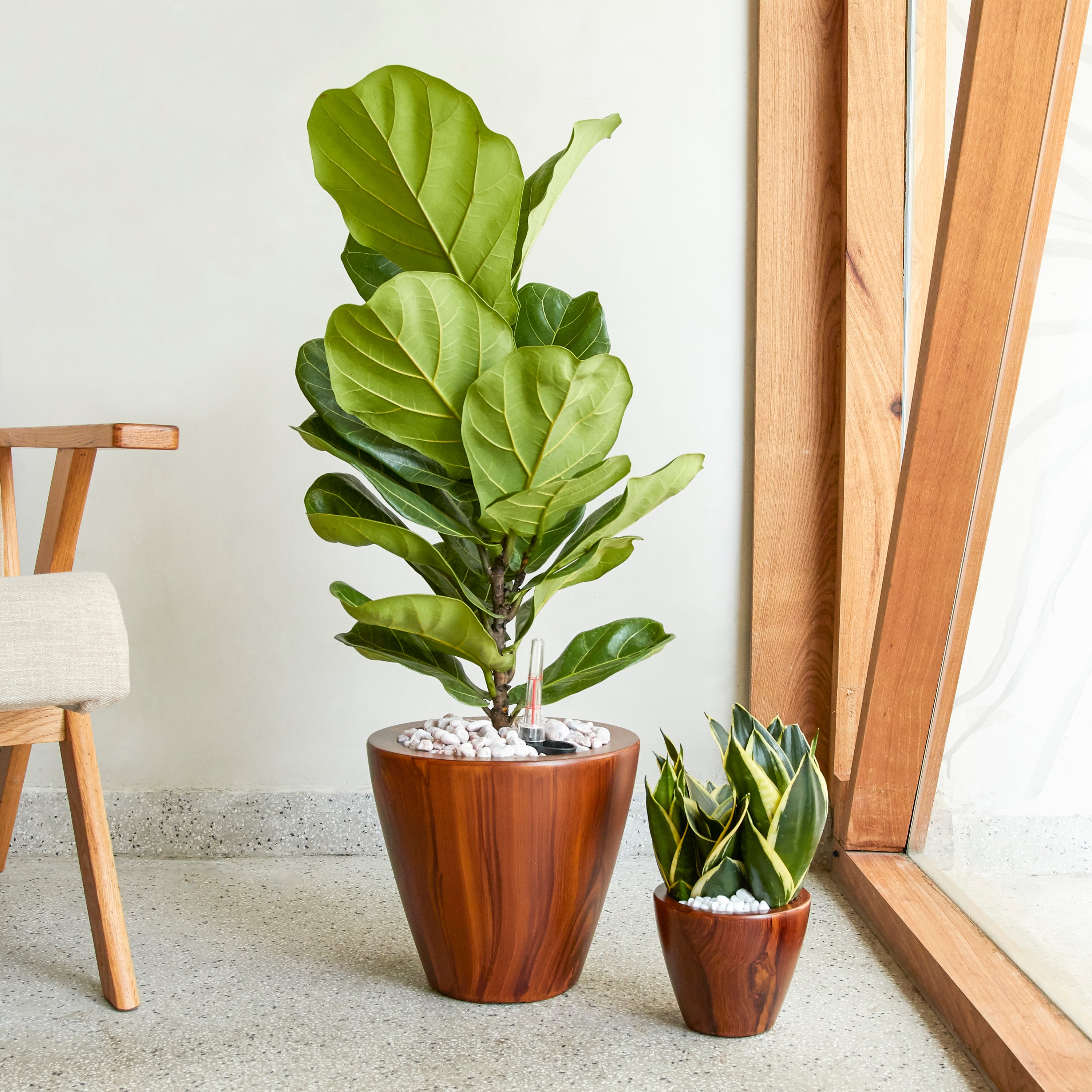 2-Pack 10 In. Dark Wood Plastic Self-Watering Planter Pot