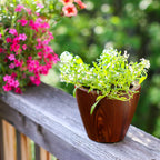 2-Pack 10 In. Dark Wood Plastic Self-Watering Planter Pot