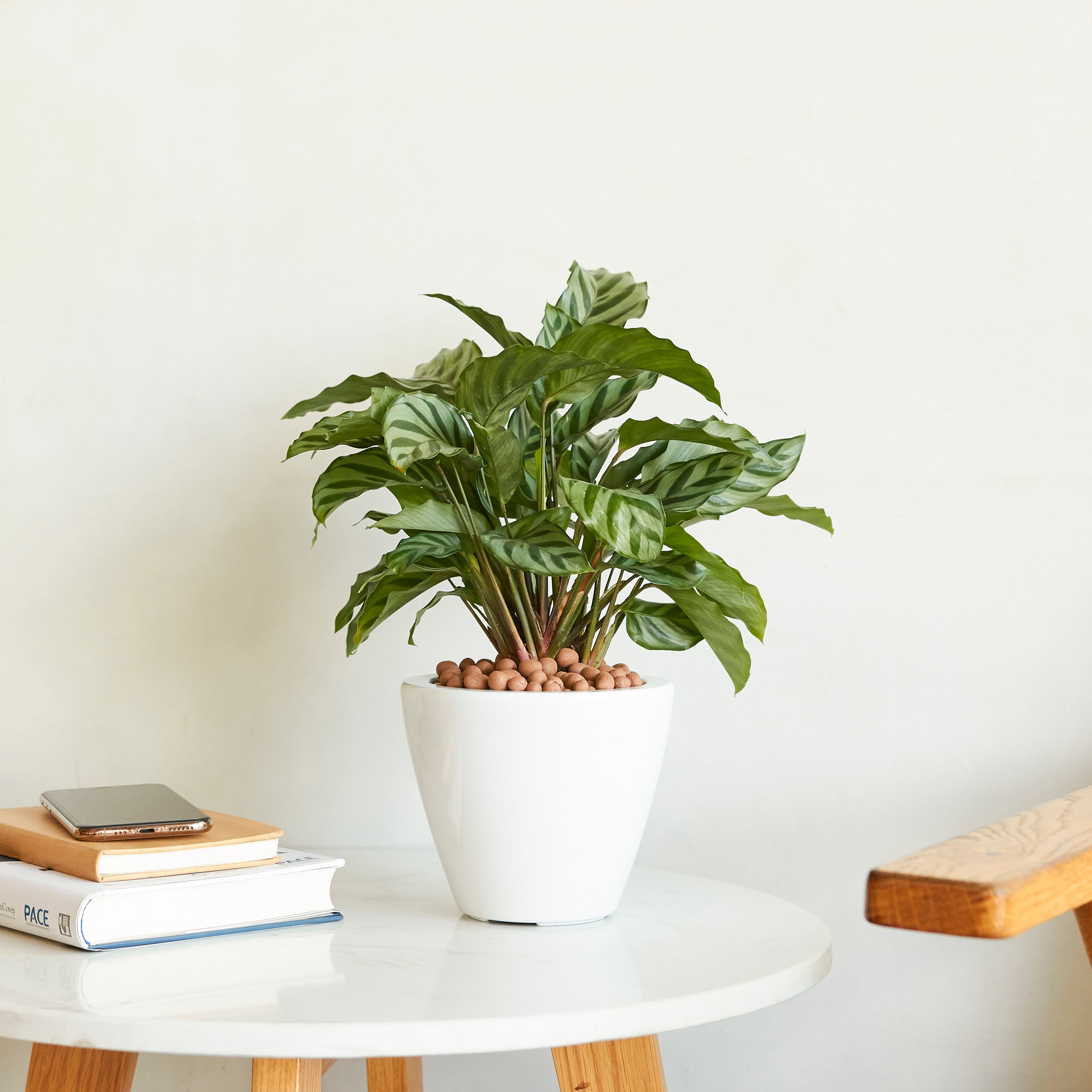 2-Pack Smart Self-Watering Planter Pot for Indoor and Outdoor
