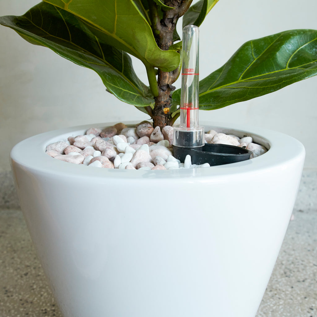 2-Pack Smart Self-Watering Planter Pot for Indoor and Outdoor