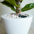 2-Pack Smart Self-Watering Planter Pot for Indoor and Outdoor