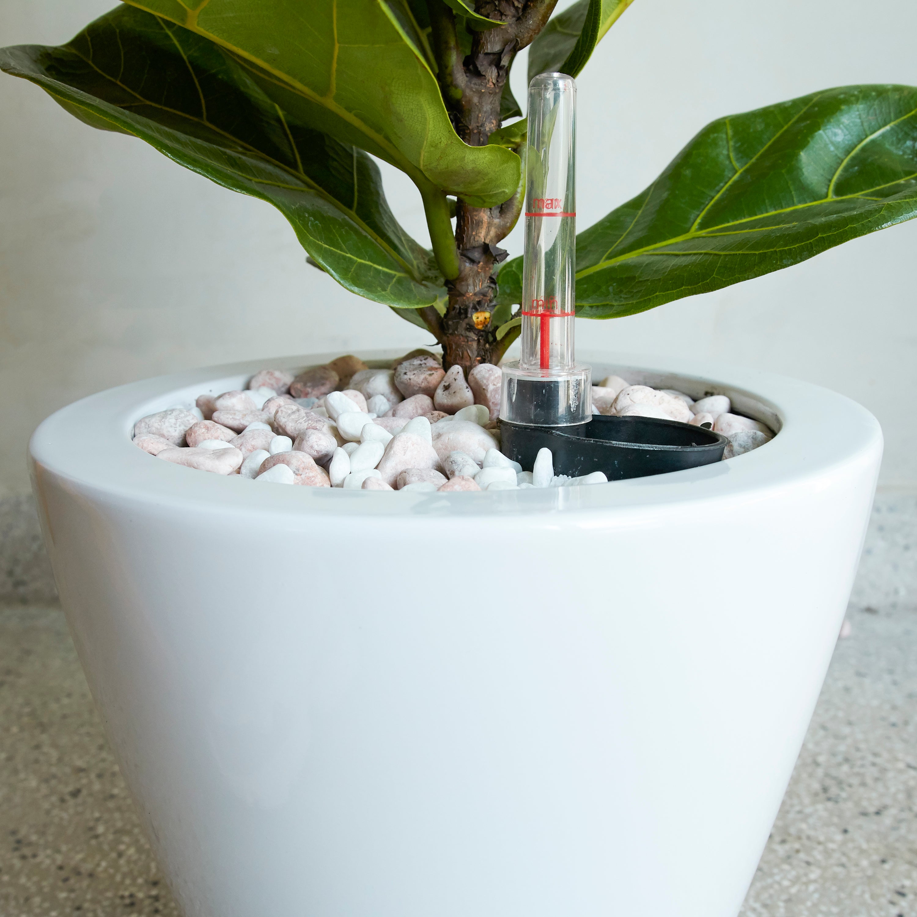 2-Pack Smart Self-Watering Planter Pot for Indoor and Outdoor