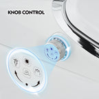 Luxury Smart Toilet with Dryer and Heated Seat