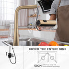 Brushed Gold Kitchen Faucet