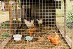 Hardware Cloth 1/4 Inch 48in x 50ft Galvanized Wire Fencing