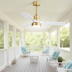 48 Inch Modern Ceiling Fan with Lights