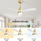 48 Inch Modern Ceiling Fan with Lights