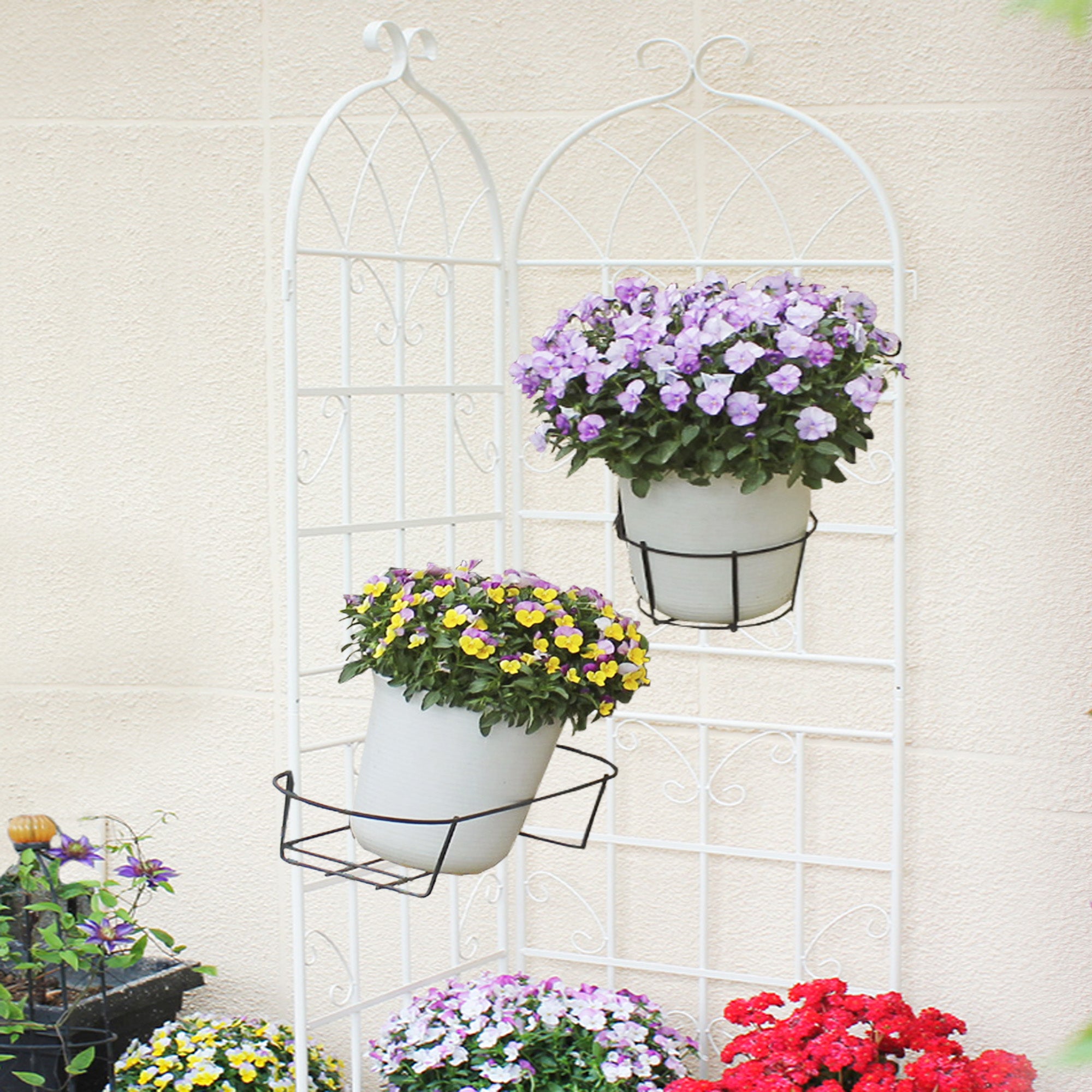 2 Pack Metal Garden Trellis 71" x 19.7"