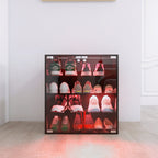 4 Layers Glass Door Cabinet