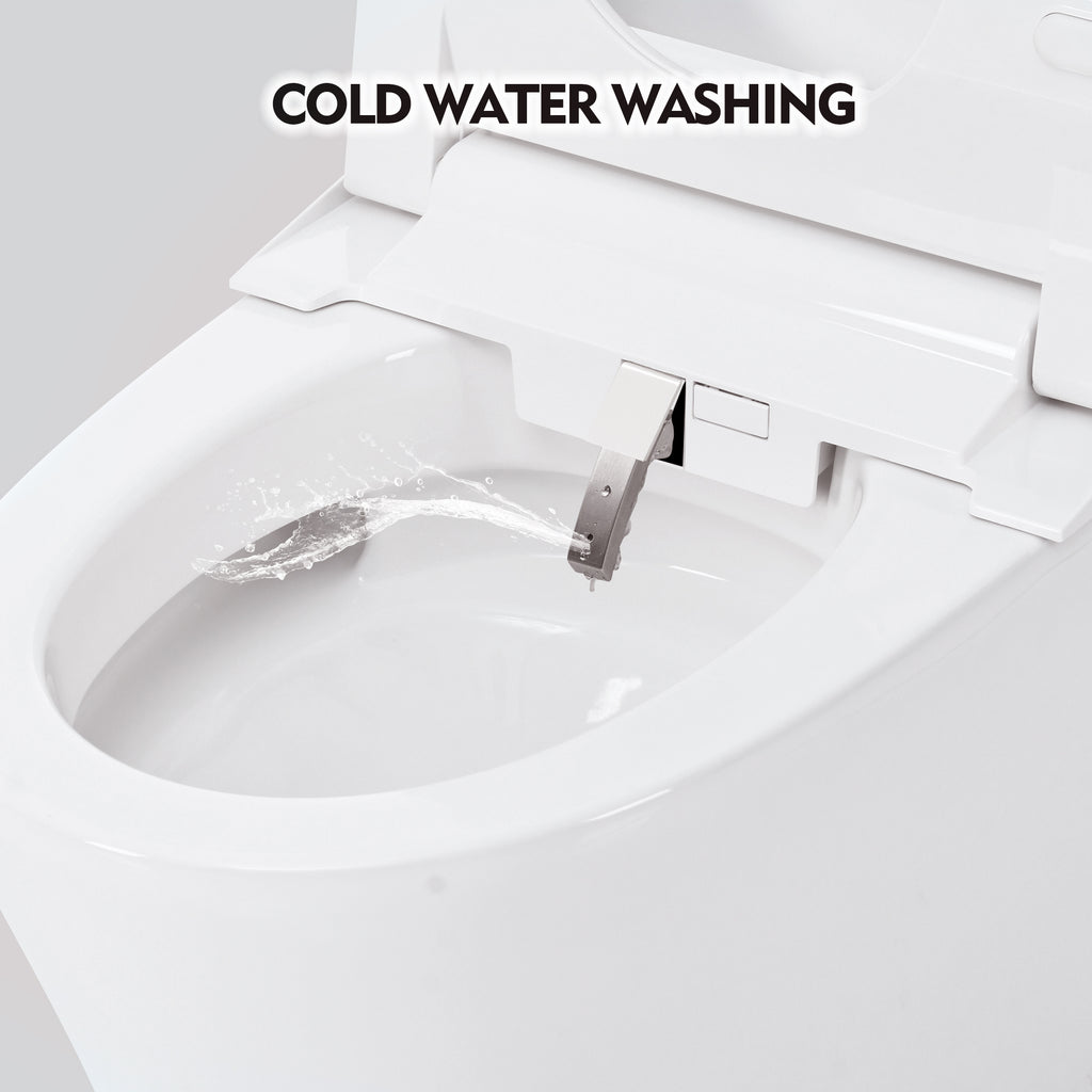 Smart Toilet Bidet Combo with Self-Cleaning Nozzle