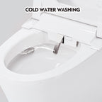 Smart Toilet Bidet Combo with Self-Cleaning Nozzle