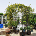 Metal Garden Arch Iron Garden Arbors Gazebo