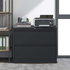 Lateral File Cabinet 2 Drawer
