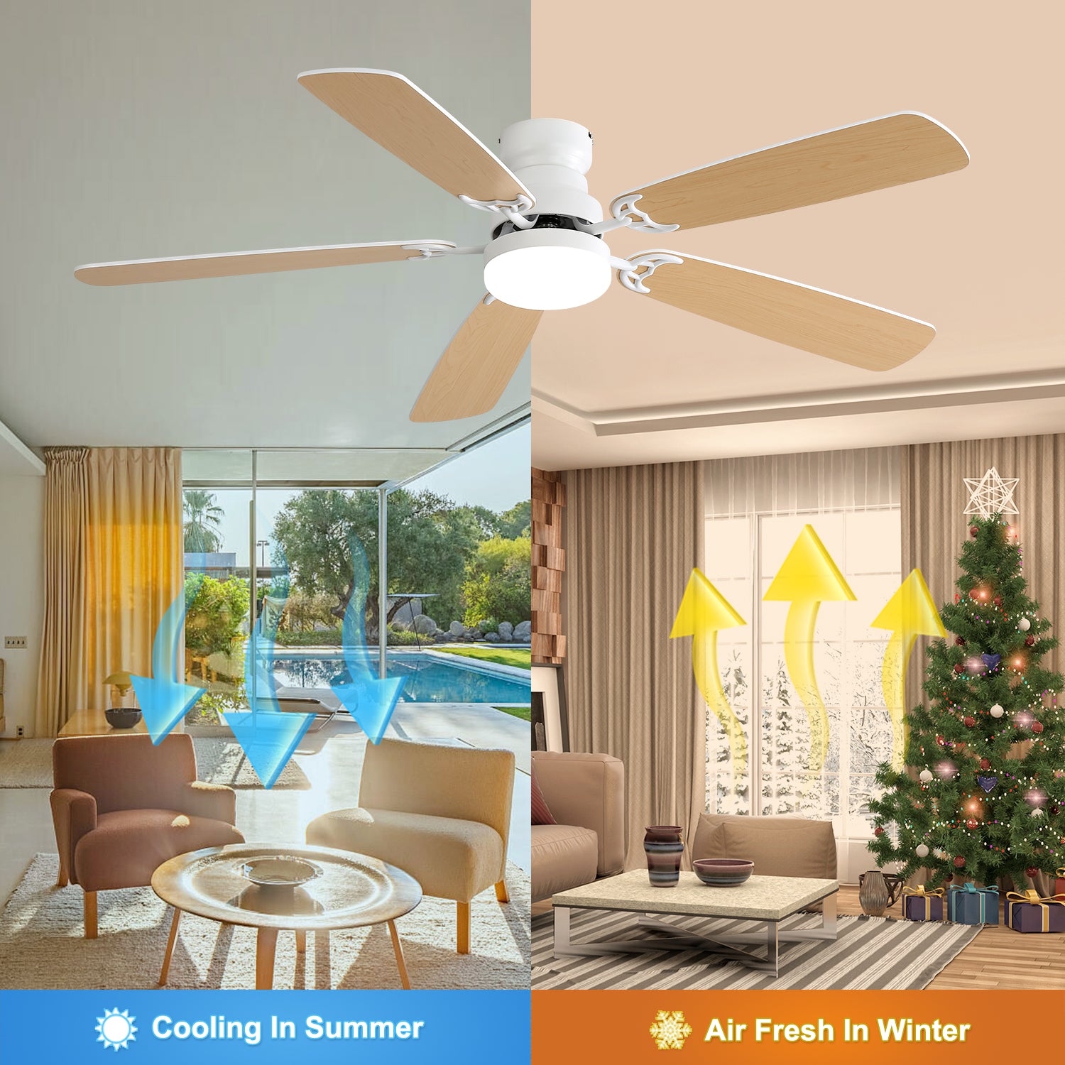 Indoor Modern 52 Inch Ceiling Fan With LED Light
