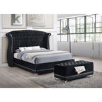 Black Tufted Trunk with Nailhead Trim