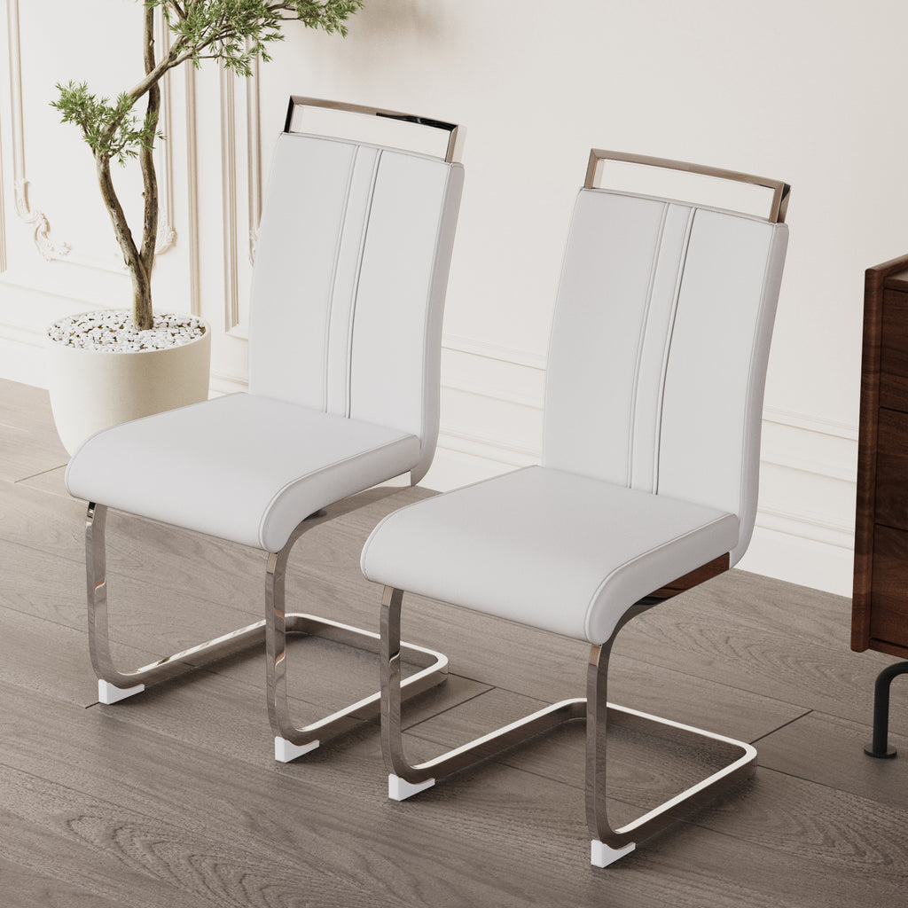 Modern Dining Chairs - Set of 4