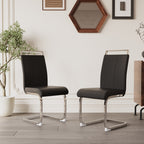 Modern Dining Chairs - Set of 2