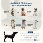 PawHut Pet Sofa for Small and Medium Dogs