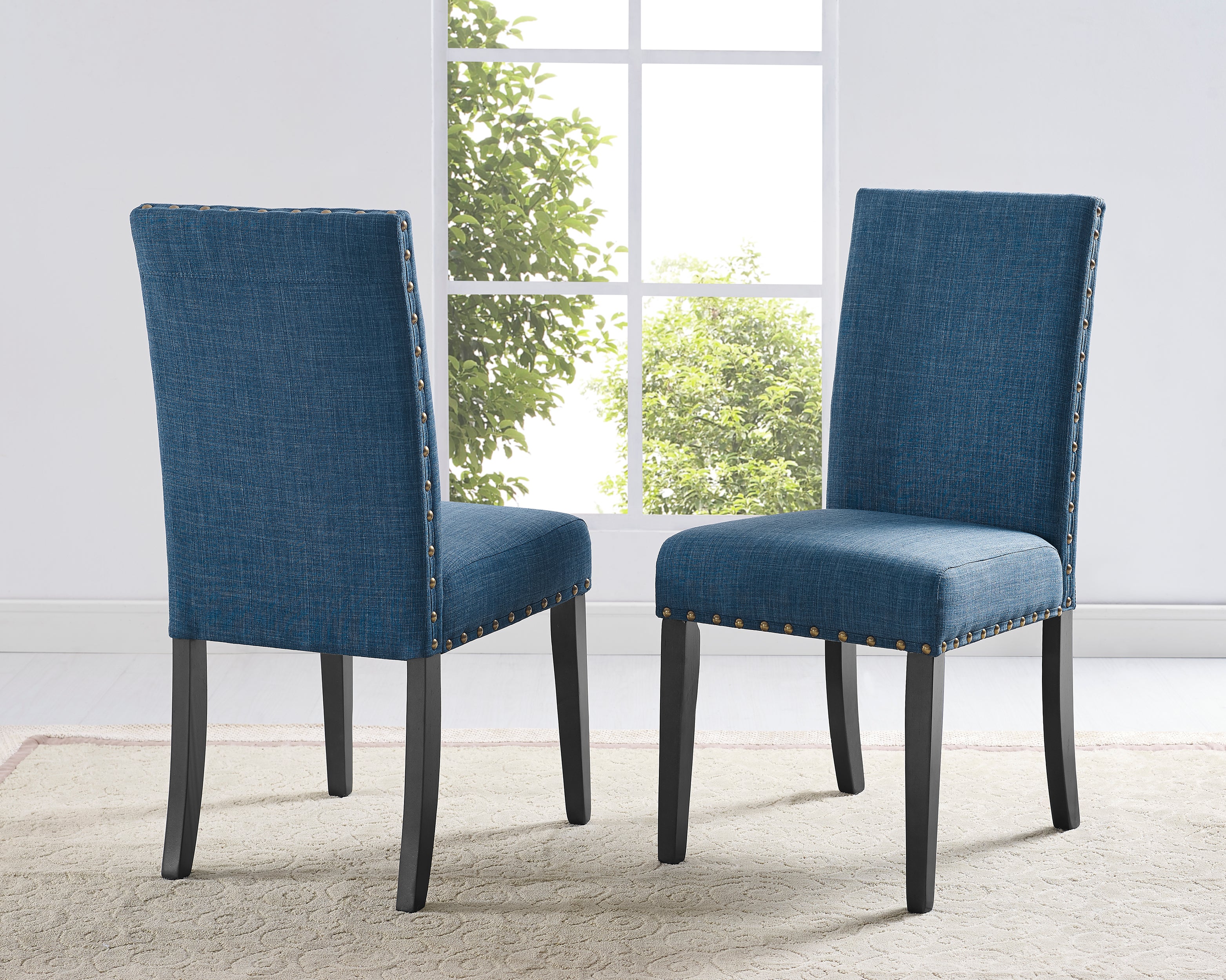 Biony Fabric Dining Chairs with Nailhead Trim, Set of 2