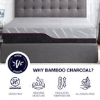 Bridgevine Home 11 Inch Renew Cooling Fast Responding Latex Foam Adult Mattress
