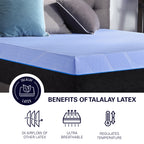 Bridgevine Home 12 Inch Refresh Flex Head Hybrid Mattress, King Size