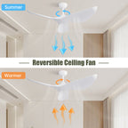 38 Inch Ceiling Fan Without Light