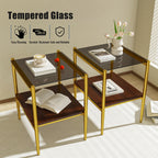 Set of 2 Rectangle End Tables with Tempered Glass Top
