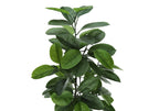 52" Tall Artificial Rubber Tree - Indoor Faux Plant