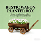 Small Wheelbarrow Wagon Flower Cart