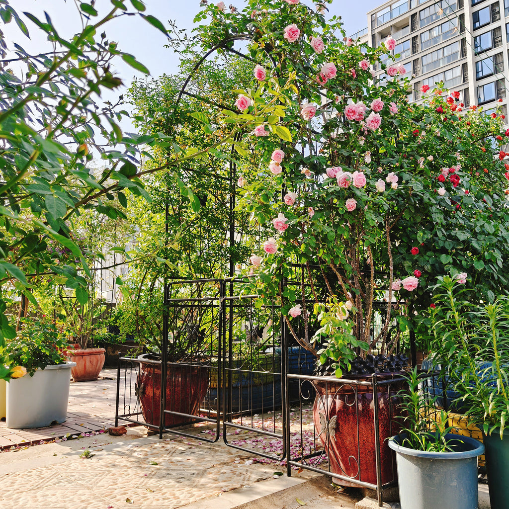 Metal Garden Arch with Gate