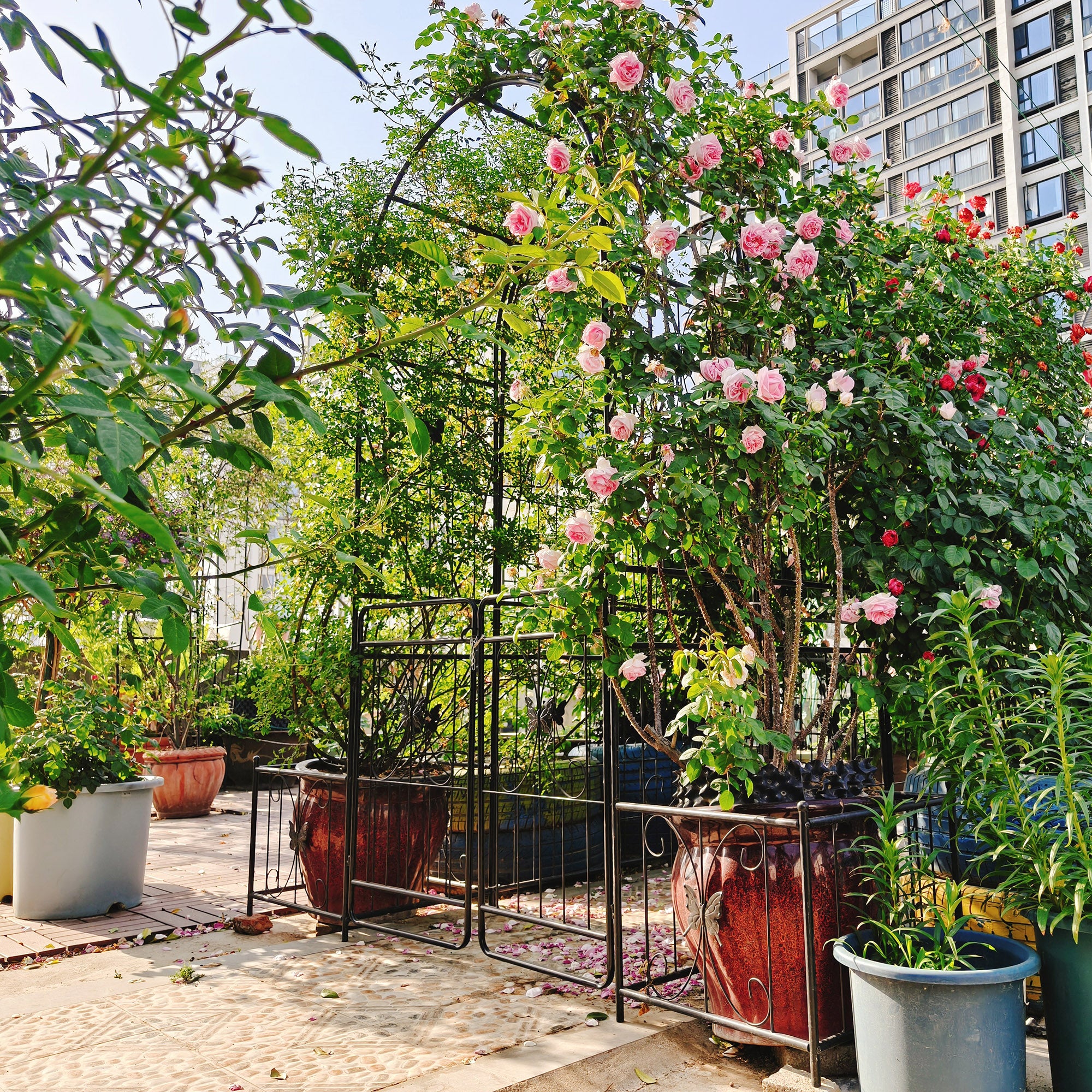 Metal Garden Arch with Gate