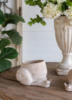 Decorative Planter with Snail Design