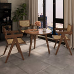 Modern Mid Century Dining Chairs Set of 2