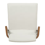 Mid-Century Modern Dining Chairs Set of 2