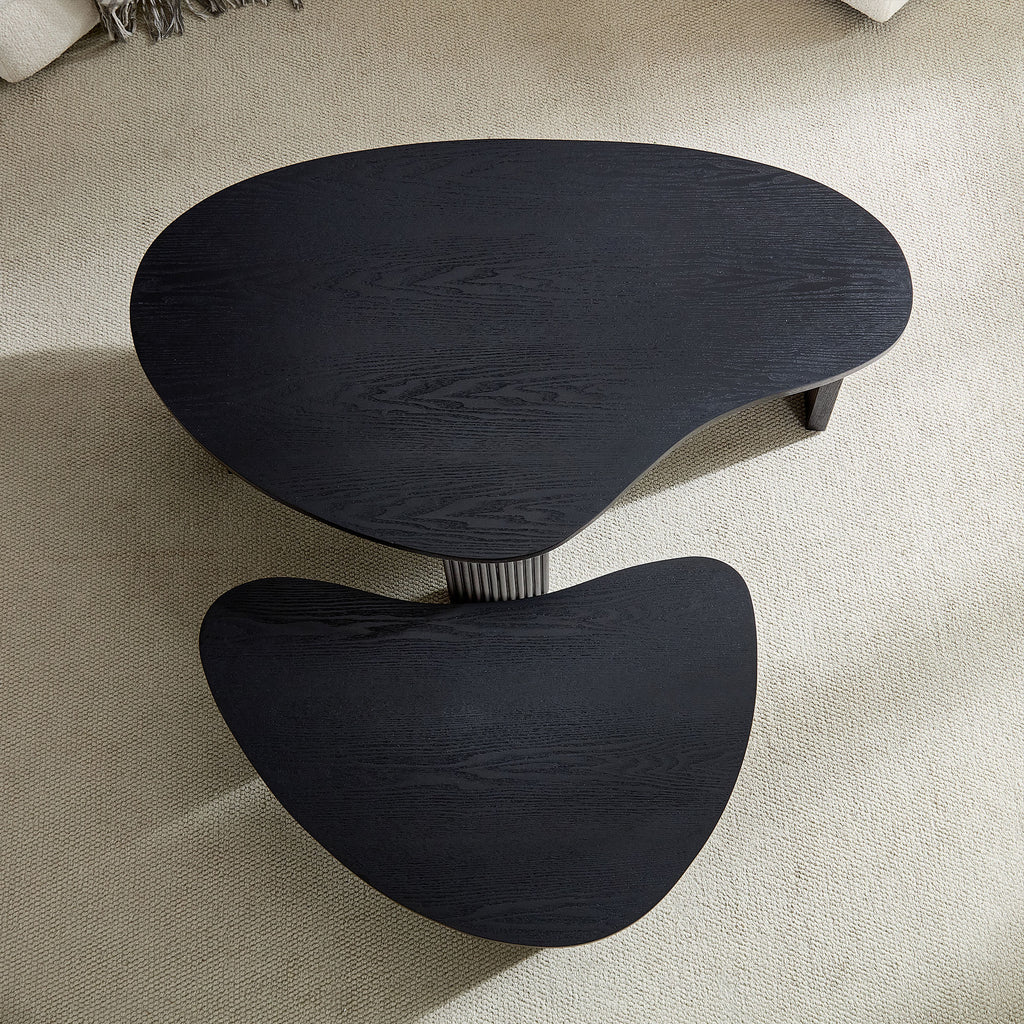 2-Piece Modern Irregular Shape Coffee Table Set