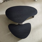 2-Piece Modern Irregular Shape Coffee Table Set