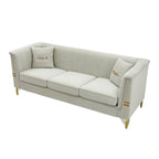 Modern Velvet Upholstered Sofa Set of 2