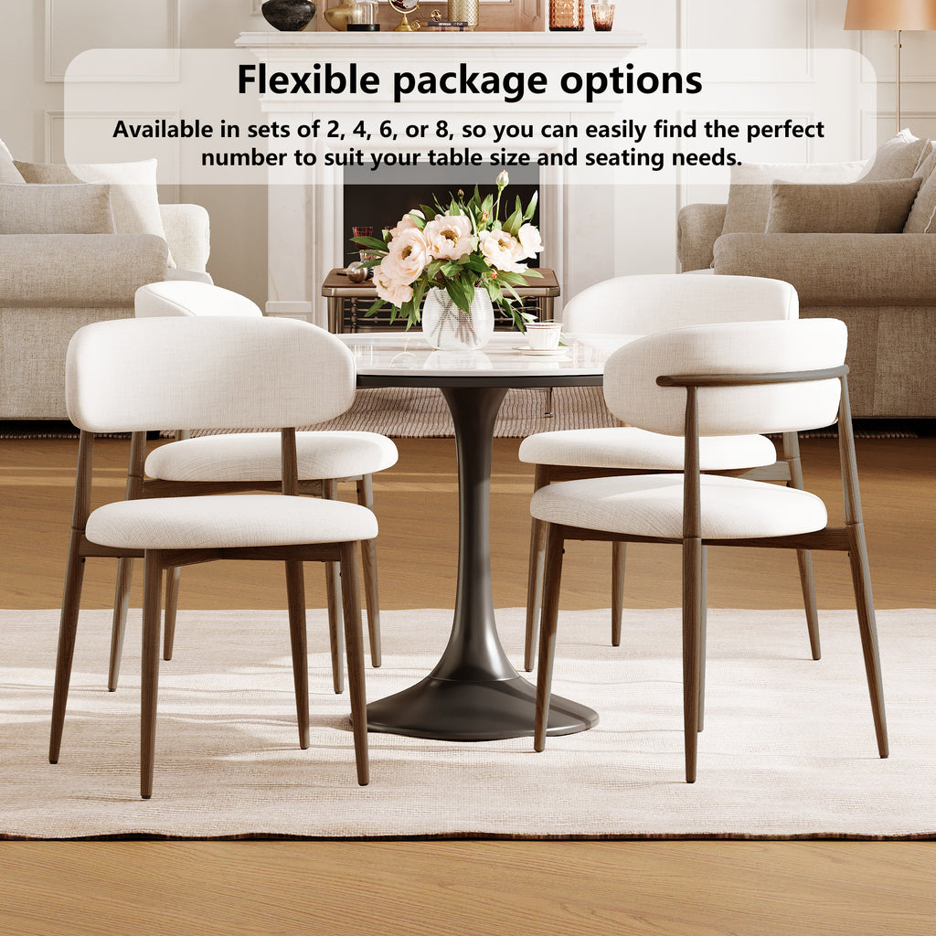 Dining Chairs Set of 2