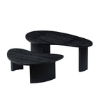 2-Piece Modern Irregular Shape Coffee Table Set