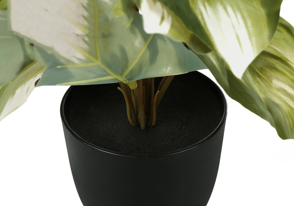 Artificial Plant Set of 2 - 13" Tall Monstera Calathea