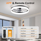 19.7'' LED Ceiling Fan Light with Remote & App Control