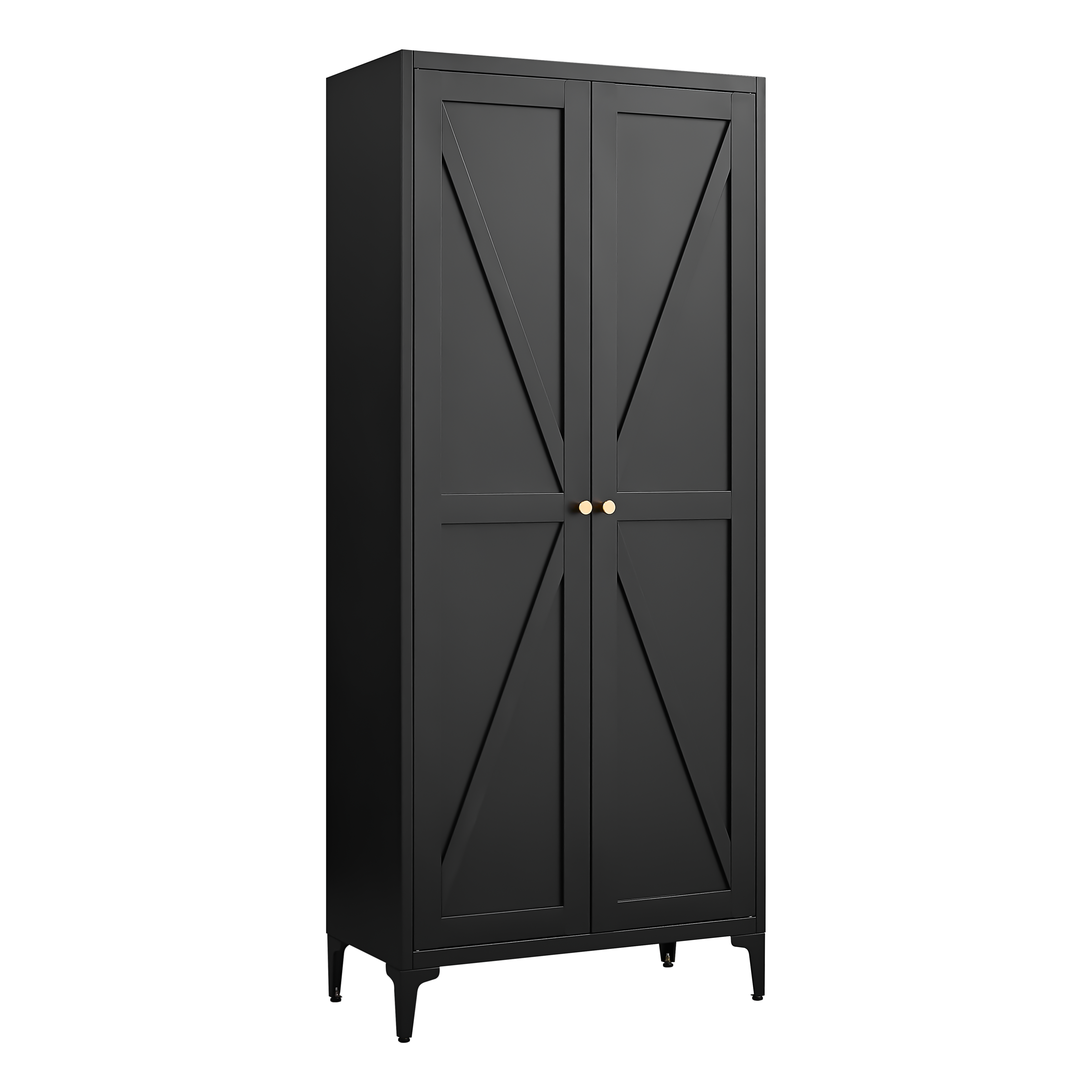 Metal Adjustable 2 Doors Storage Cabinet