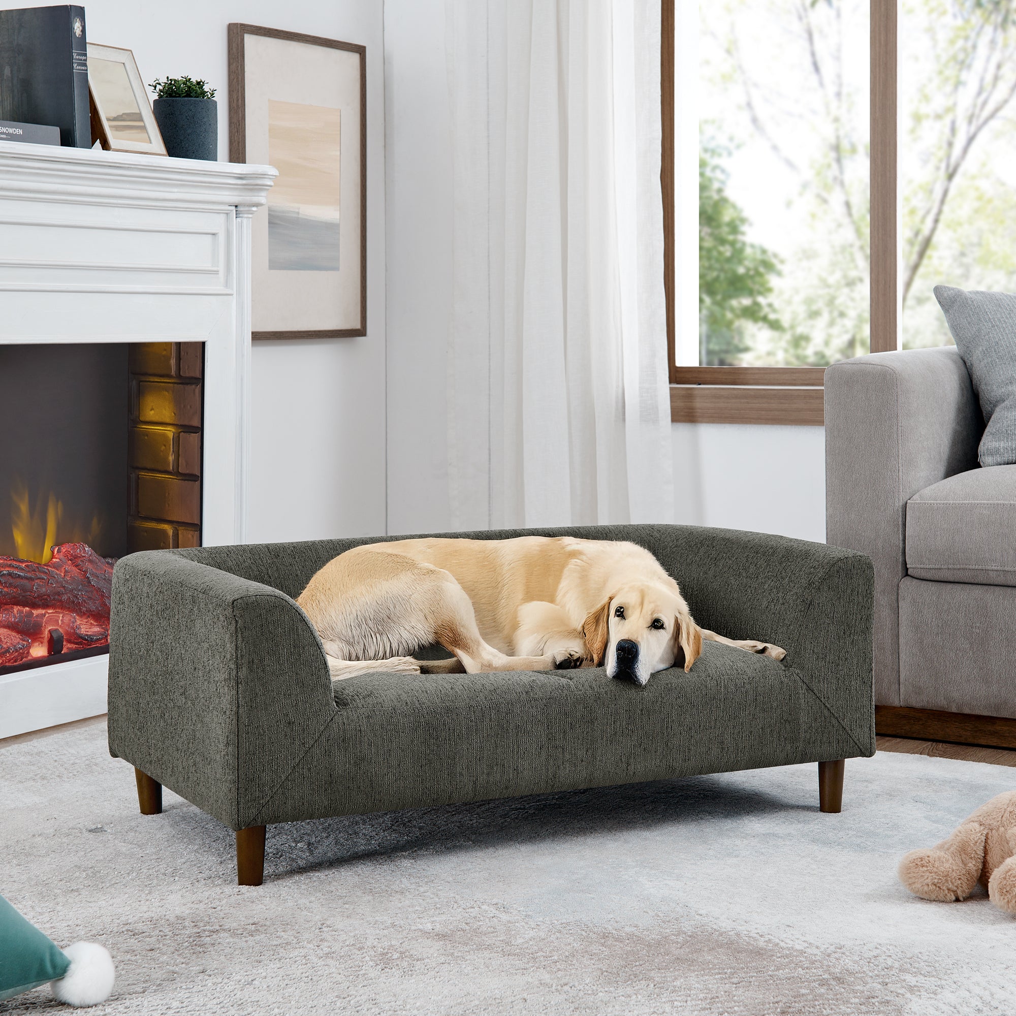 Modern Rectangular Pet Sofa with Backrest and Armrests