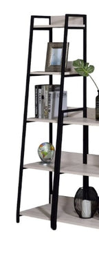 Wendral Rectangular Leaning-Ladder Bookshelf