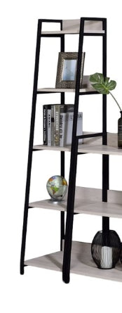 Wendral Rectangular Leaning-Ladder Bookshelf