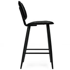 Raya Counter Height Stool (Set of 2)
